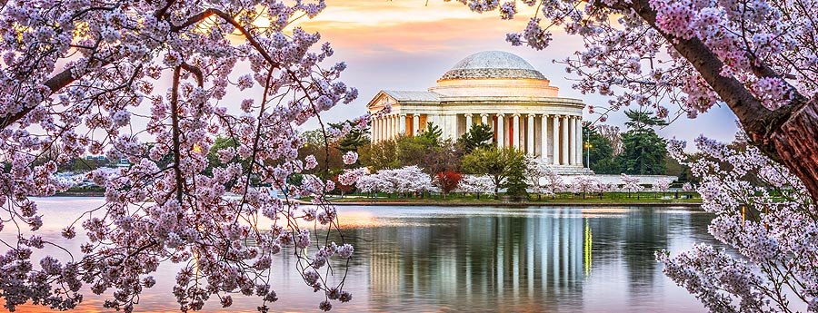 feature_lookingAhead 2026 AO Annual Meeting in Washington DC