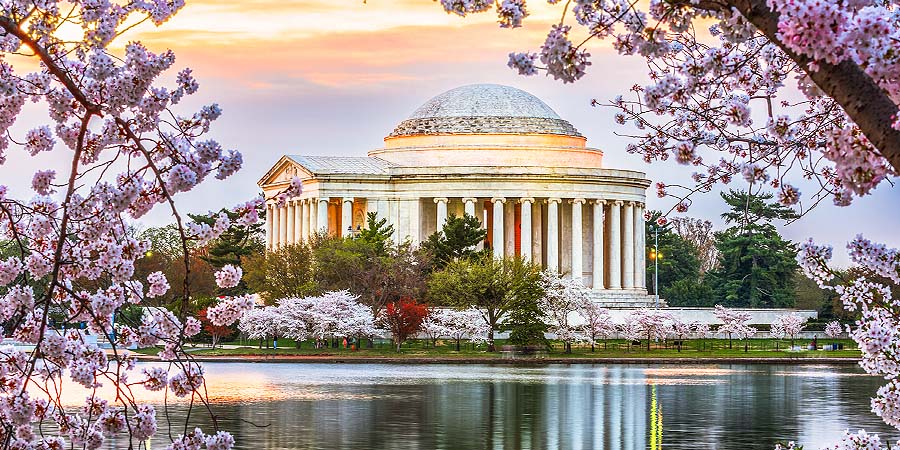 looking ahead 2026 Annual Meeting