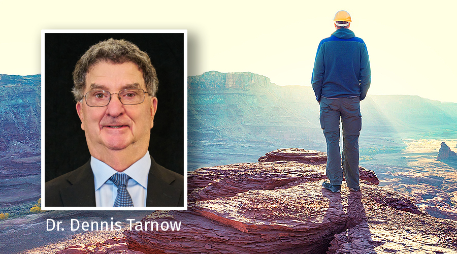 managing the gap1 Dennis Tarnow