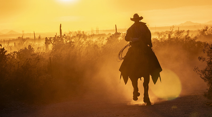 wild west wild west era of contemporary full arch implant therapy